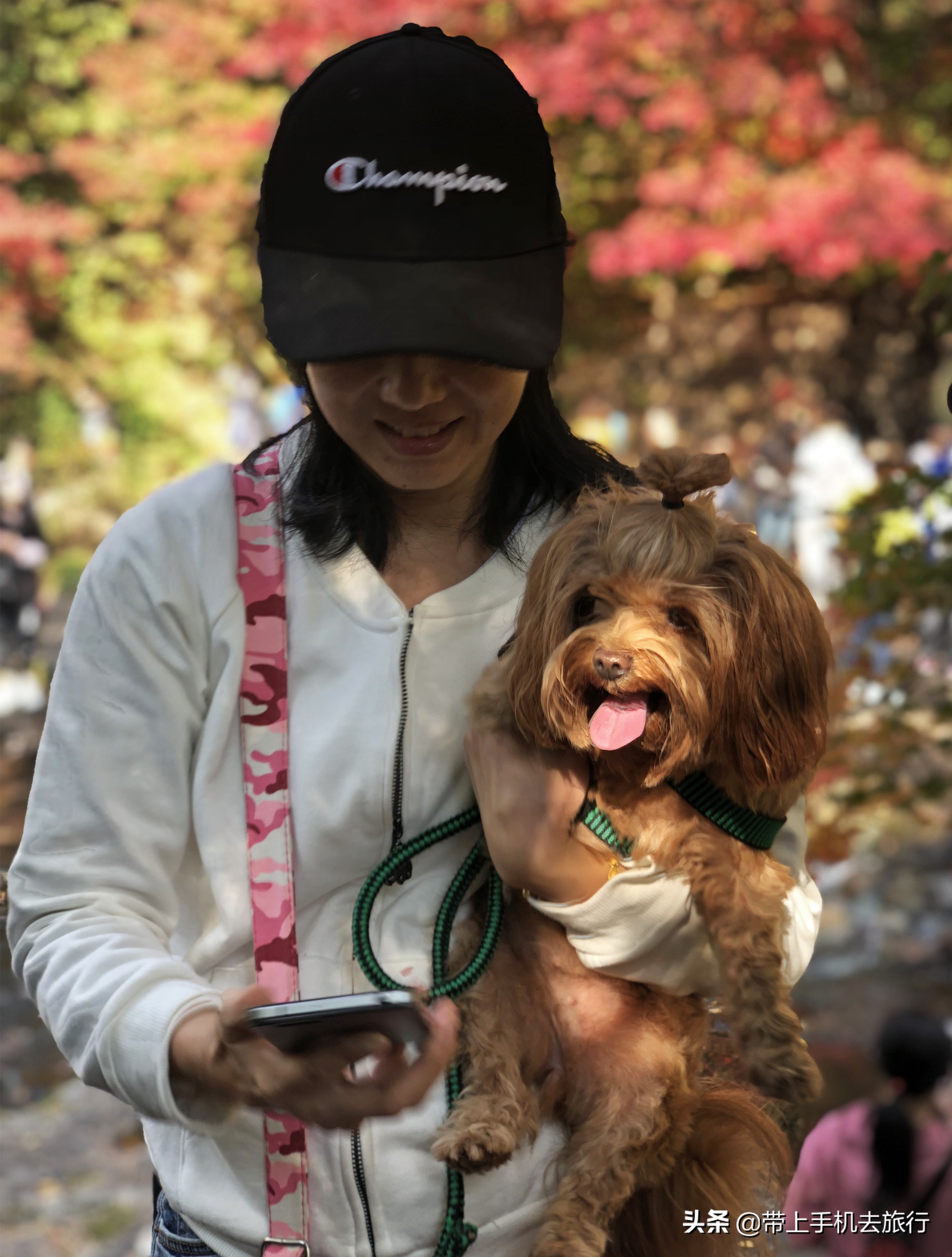 手机拍什么画面好看又清晰,如何让手机拍摄出的画面更够质感