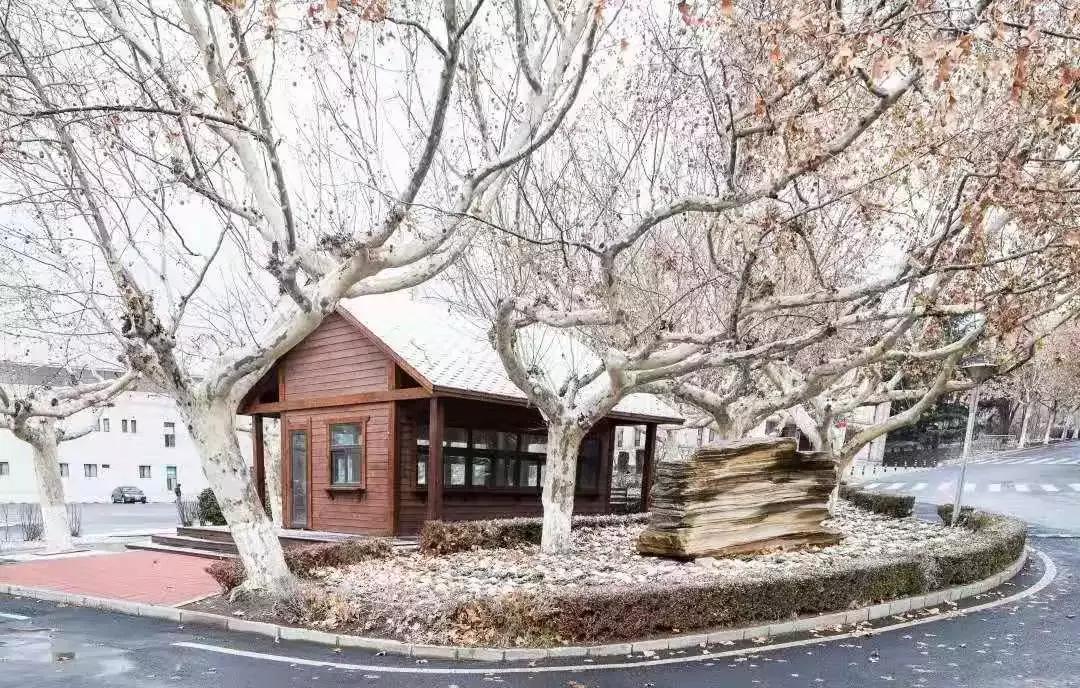 大连海事大学和辽宁省哪个级别高,大连海事大学辽宁省大学排名