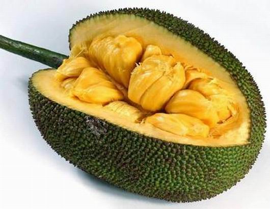 菠萝蜜干和菠萝蜜营养价值一样吗,菠萝蜜干与菠萝蜜营养价值