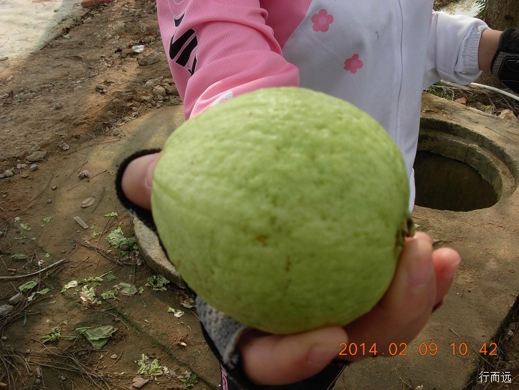 海南环岛骑行的结束感悟,环海南岛骑行中线和西线