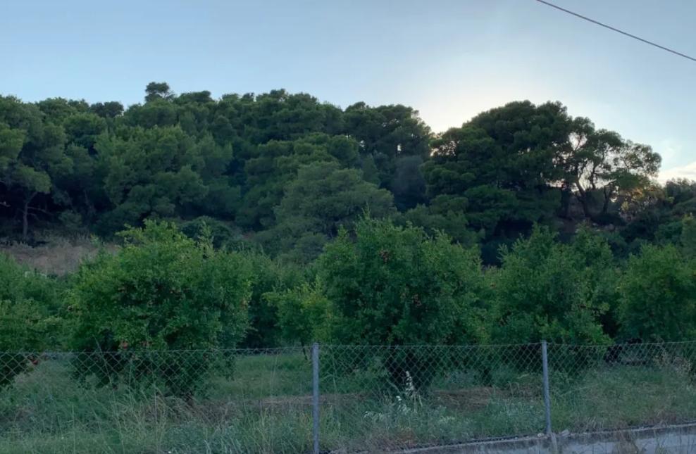 在希腊可以干嘛,在希腊的真实感受