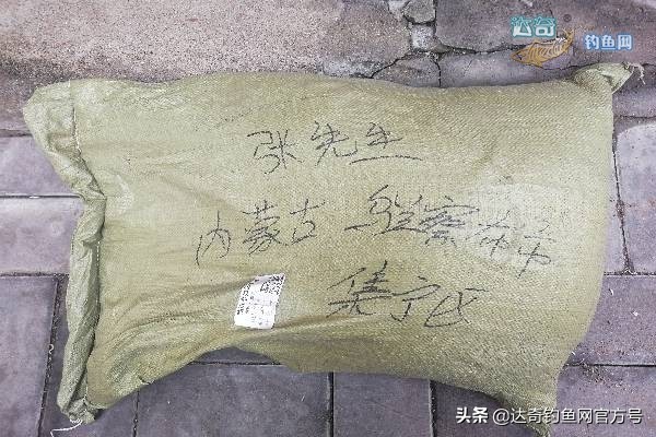 渔具店有小黄面吗,渔具小黄面