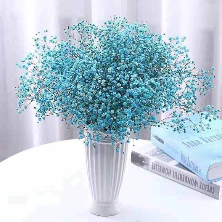 断了线的风筝任他飞,断了线的风筝伤感语录