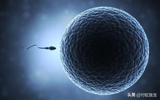 医生，昨夜同房了，想去做B超看有排卵再吃紧急避孕药靠谱吗？