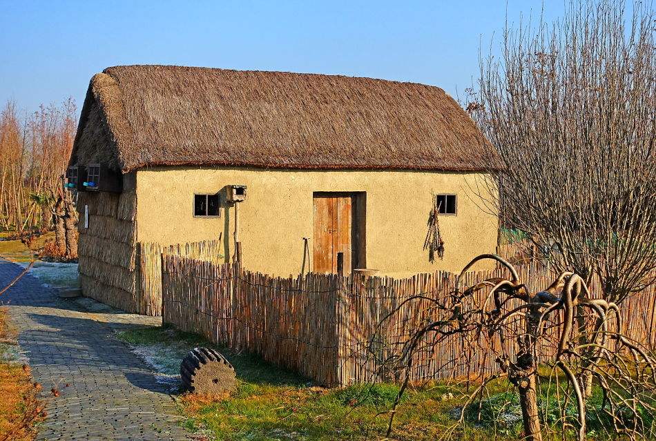 五年级八单元作文推荐一本书,五年级第八单元作文推荐一本好书