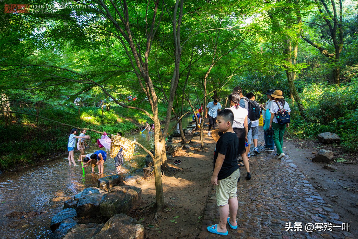 杭州当地人推荐的景点,杭州人避暑去哪