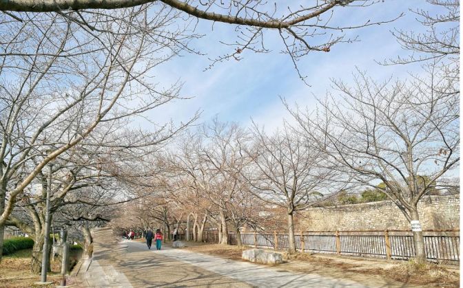 王思聪李易峰综艺节目,王思聪李易峰玩游戏