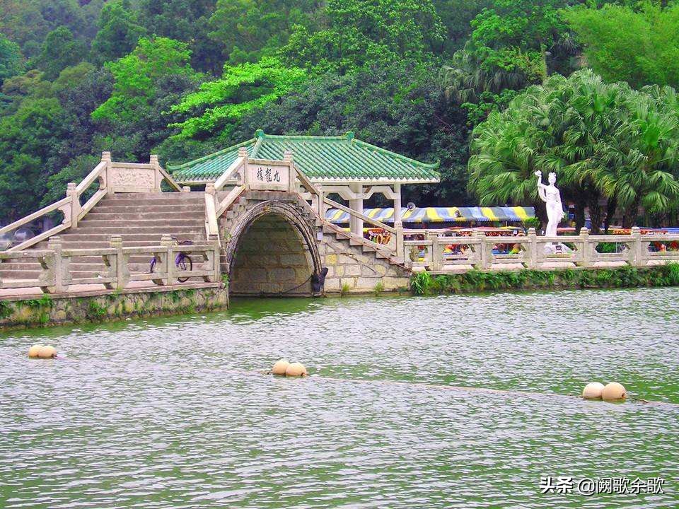 珠海公园森林风景,珠海公园美景视频