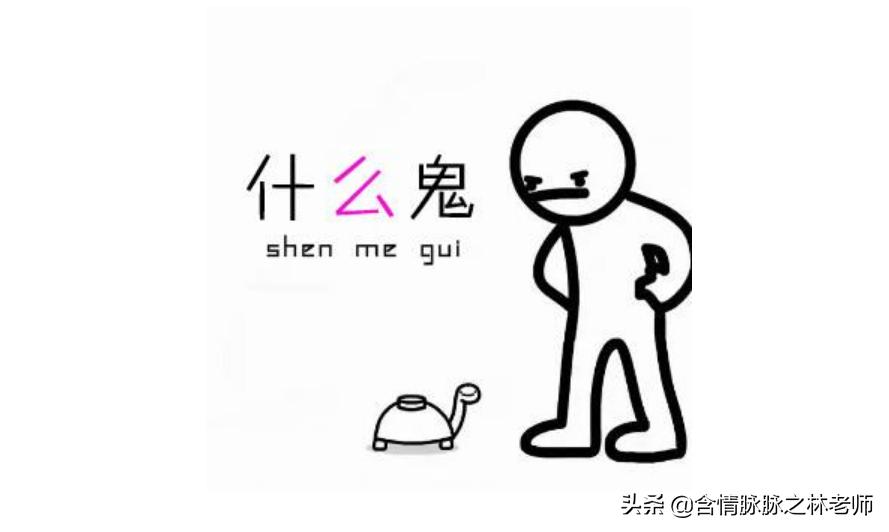 视频创作者入门设备,视频创作者神器