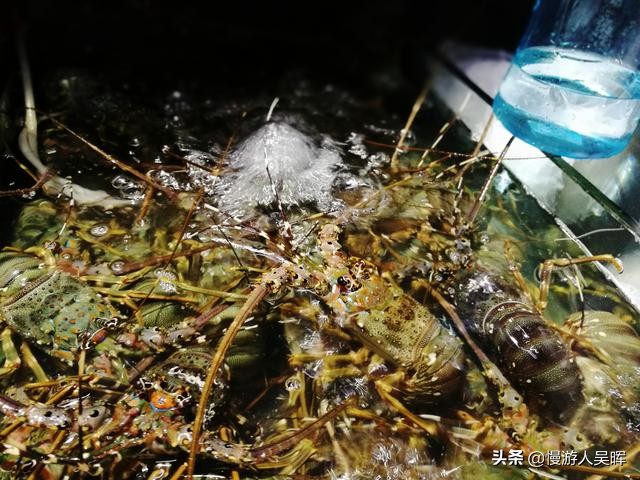 海南环岛自驾旅游攻略最佳路线图,海南环岛自驾游攻略最详细路线