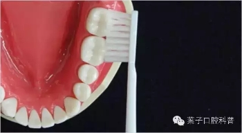 牙可以刷的干干净净的小秘诀,牙到底怎么刷才能刷得干净