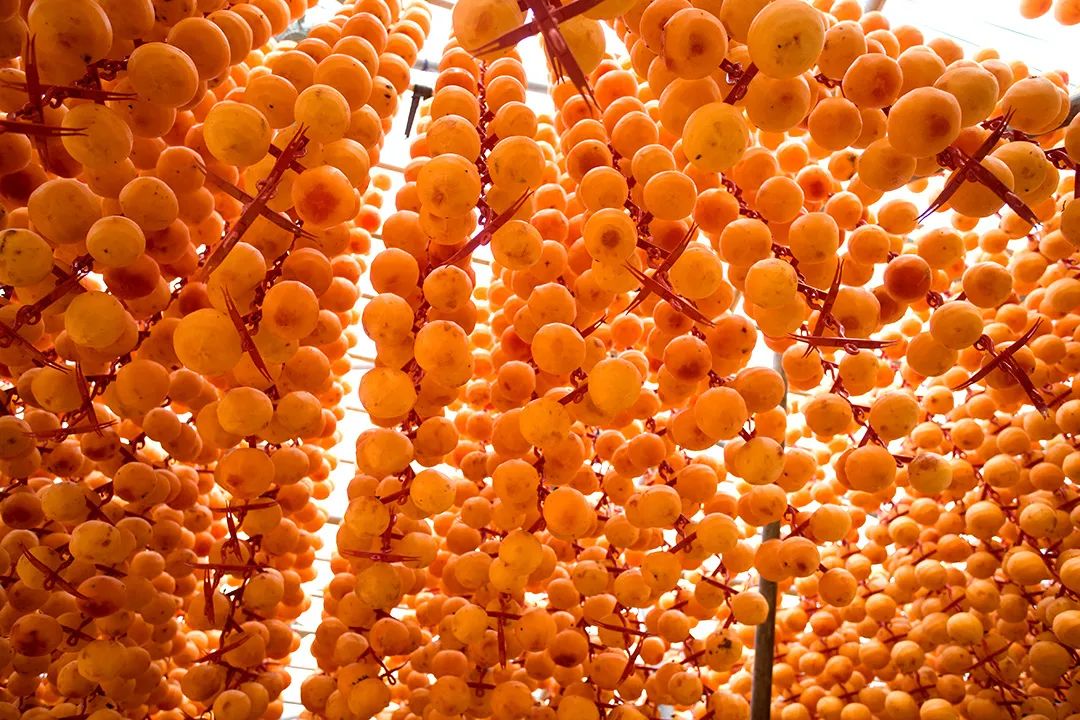 鐢滆湝鐏櫠鏌垮瓙,鐢滆湝鏌垮瓙