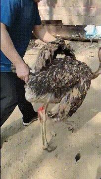 每日一笑看完你能不能忍住不笑,每日一笑看了让你笑