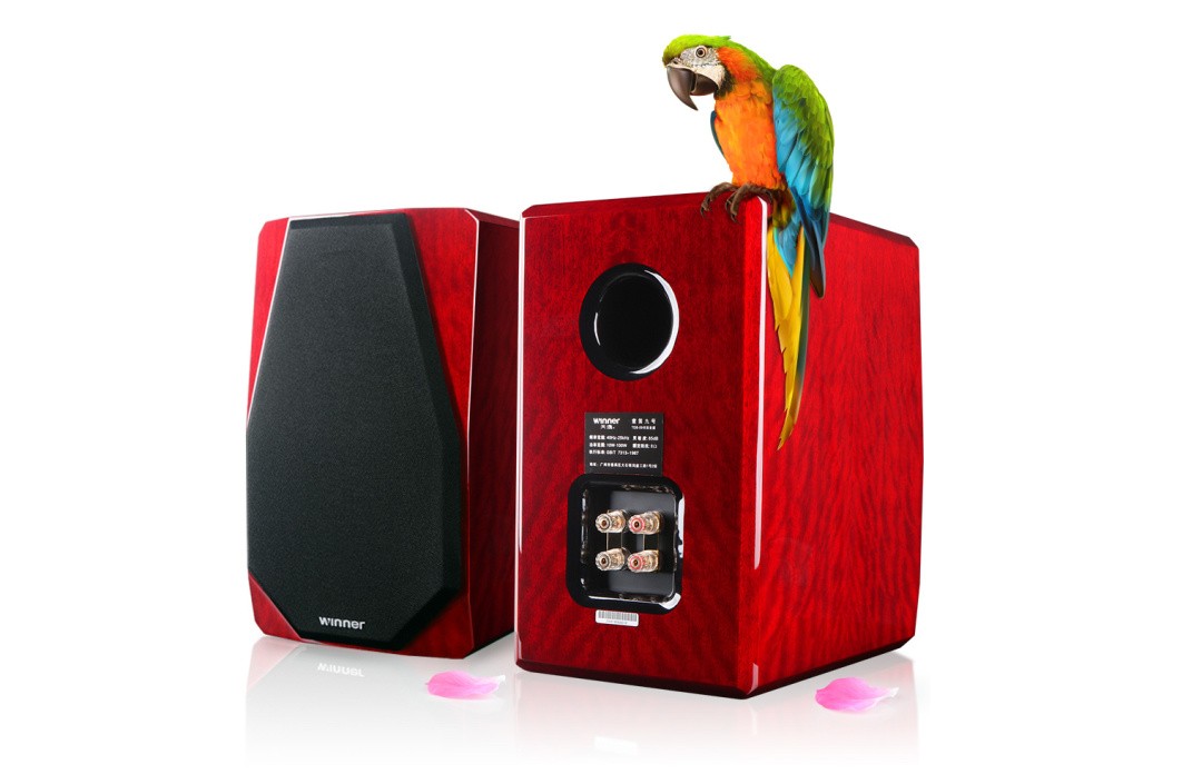 音响发烧的5大条件你都符合了吗,音响烧友的经验之谈