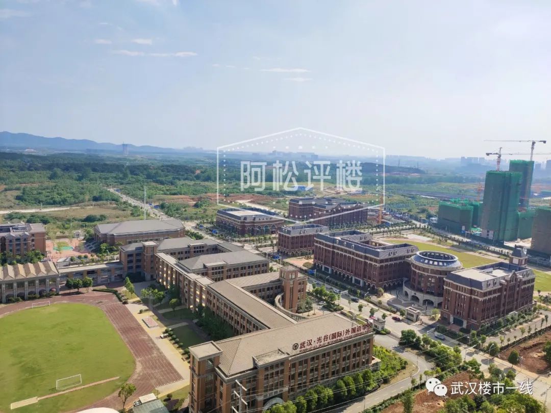 开挂了！比肩世界的爆款区域利好多到数不清！一般人已高攀不起