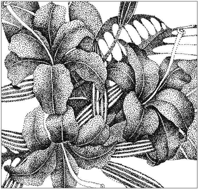 插画绘画教程纸绘,怎么画简单好看的插画教程