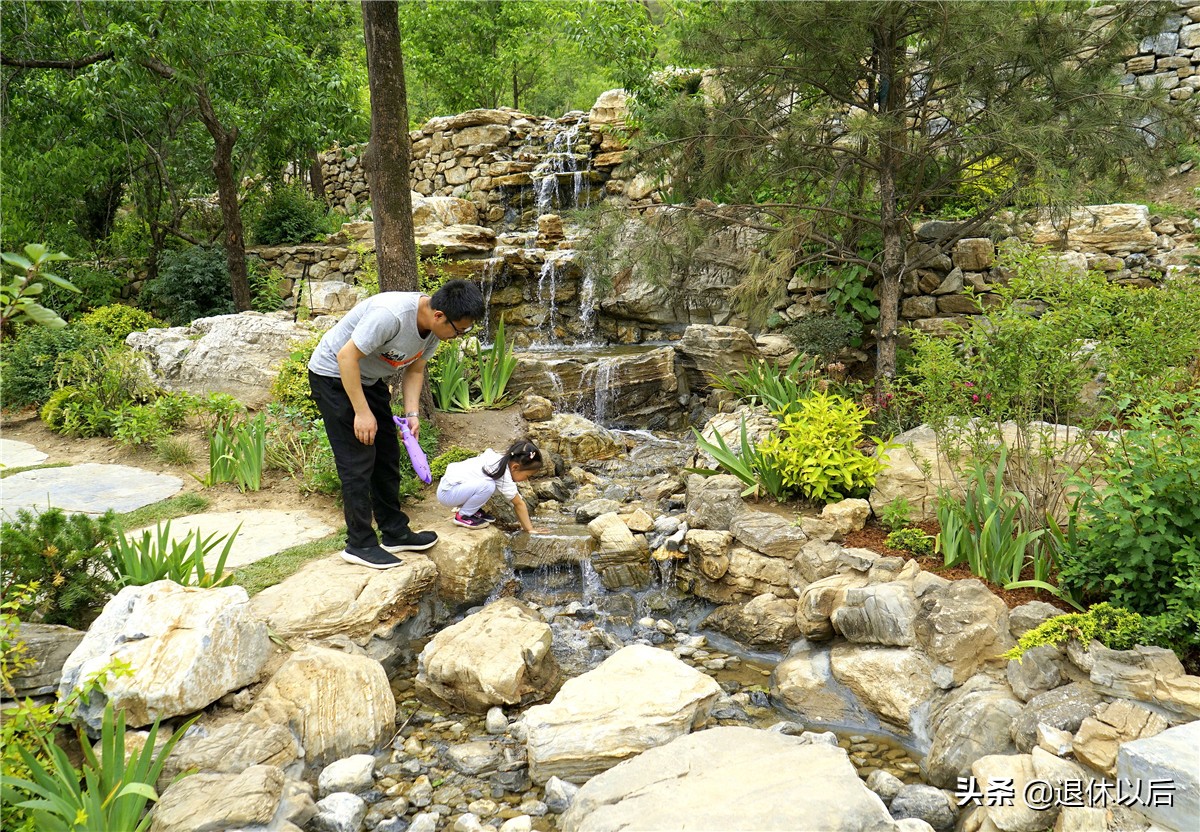 森林中的童话树屋,原始森林里的童话世界