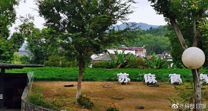 干打垒老房子改造,干打垒土房改造