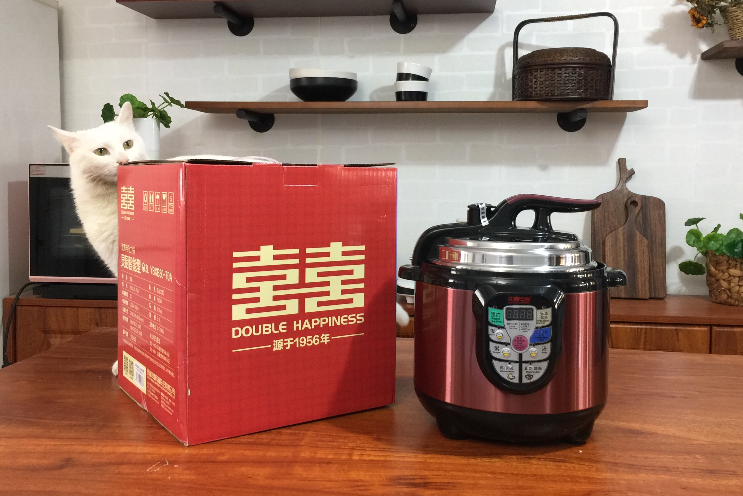 懒人饭的做法简单易学,懒人饭做法简单教程