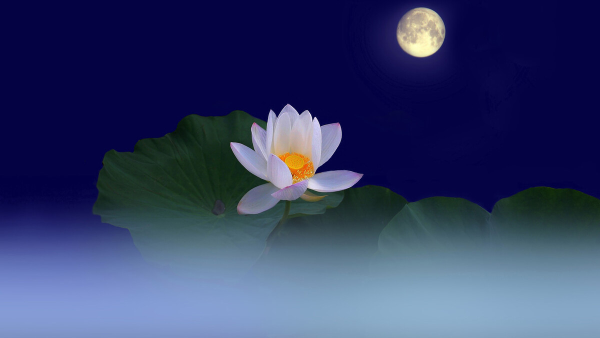 七律明月夜古诗,十首有关清风明月的古诗词