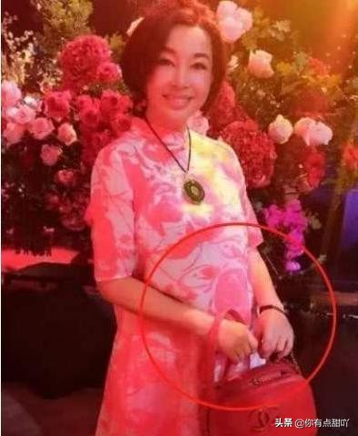 63岁怀孕的刘晓庆生子了吗,68岁的刘晓庆怀孕了吗