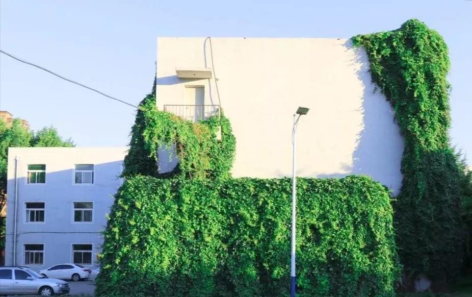 沈阳医学院在辽宁排名,沈阳医学院全面介绍