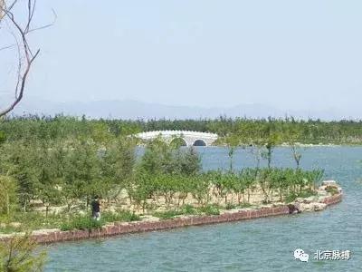 北京国家森林公园风景,画说北京故事