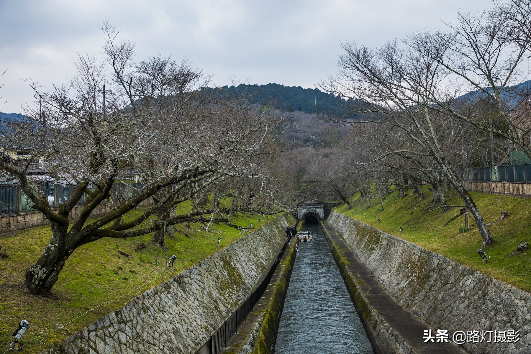 大津，不能错过的日本小众赏樱地，距离京都仅10分钟车程
