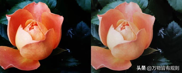 显示屏入门知识,显示屏发展史