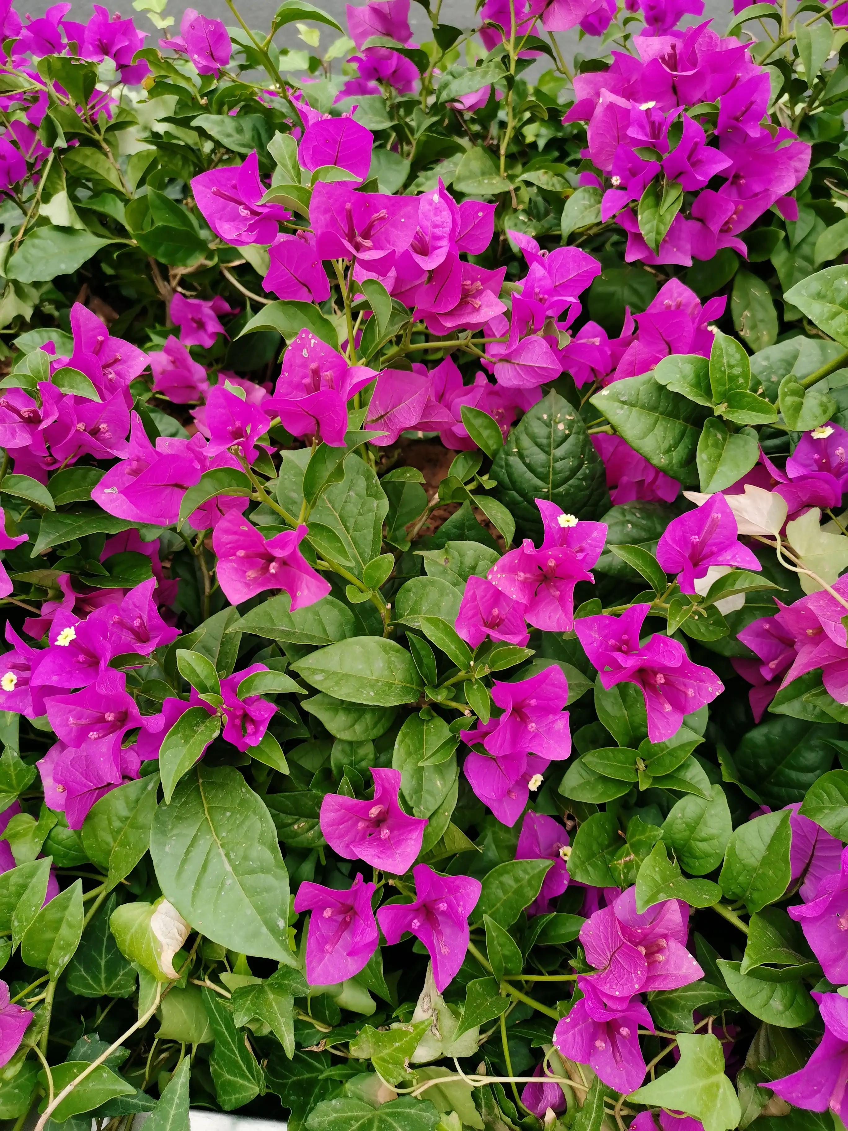 武汉洪山广场美食,武汉洪山广场附近有什么好玩的