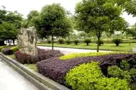 鹿邑百城建设效果图,百城提质工程