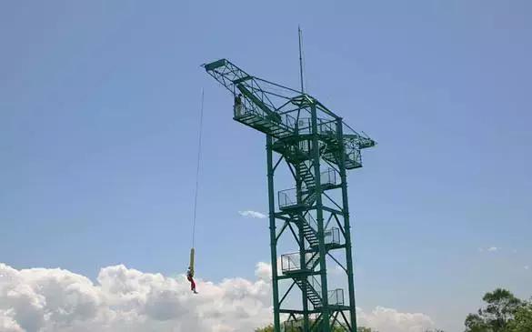 日本顶级农业农场,日本田园农场排行榜