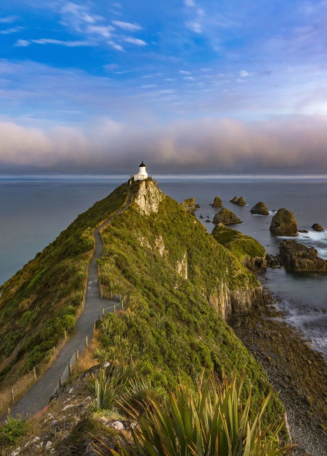 新西兰为什么那么发达,新西兰为什么这么牛