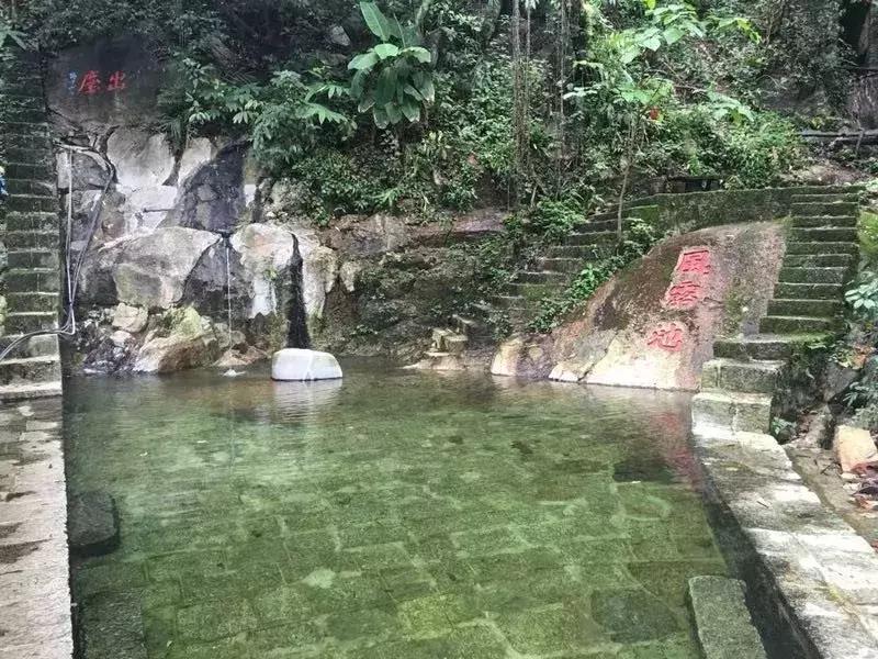 腾冲樱花谷景区,腾冲樱花谷