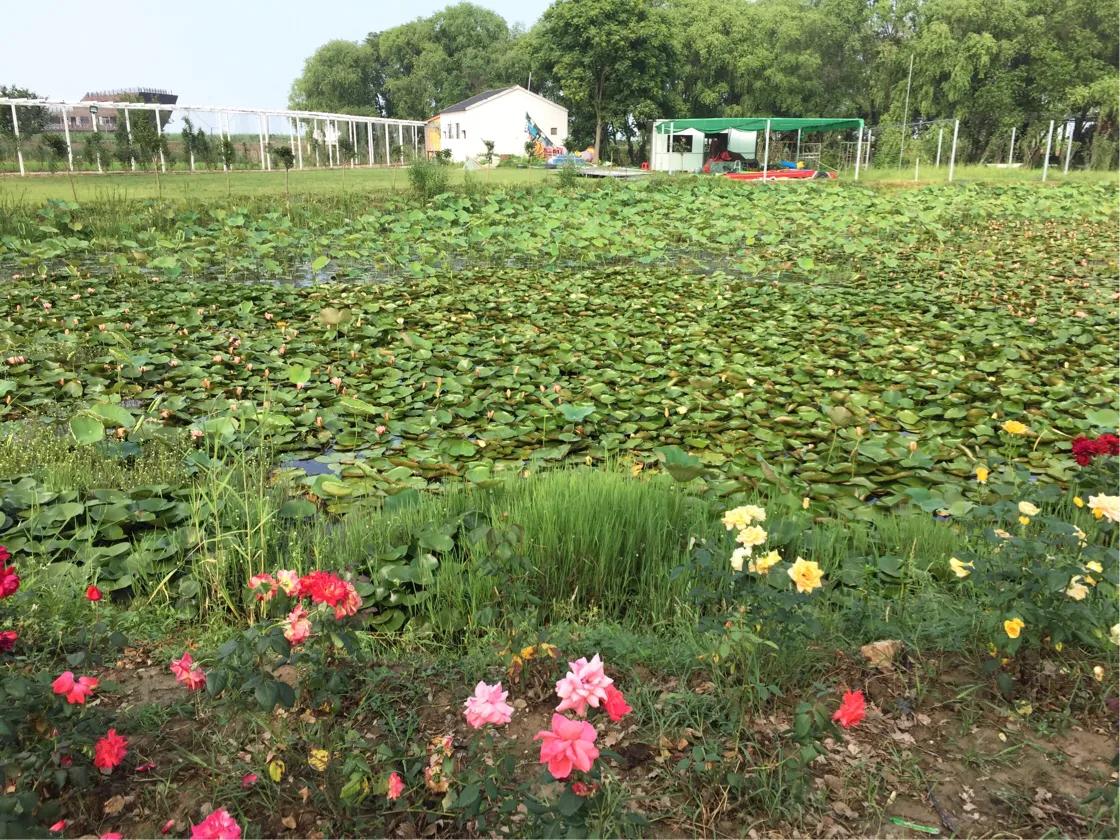 春的序曲洞庭西山,洞庭西山作品顺序