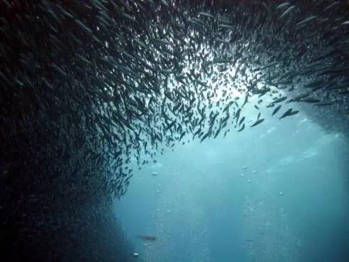 菲律宾旅游攻略最详细介绍,菲律宾游玩最全攻略