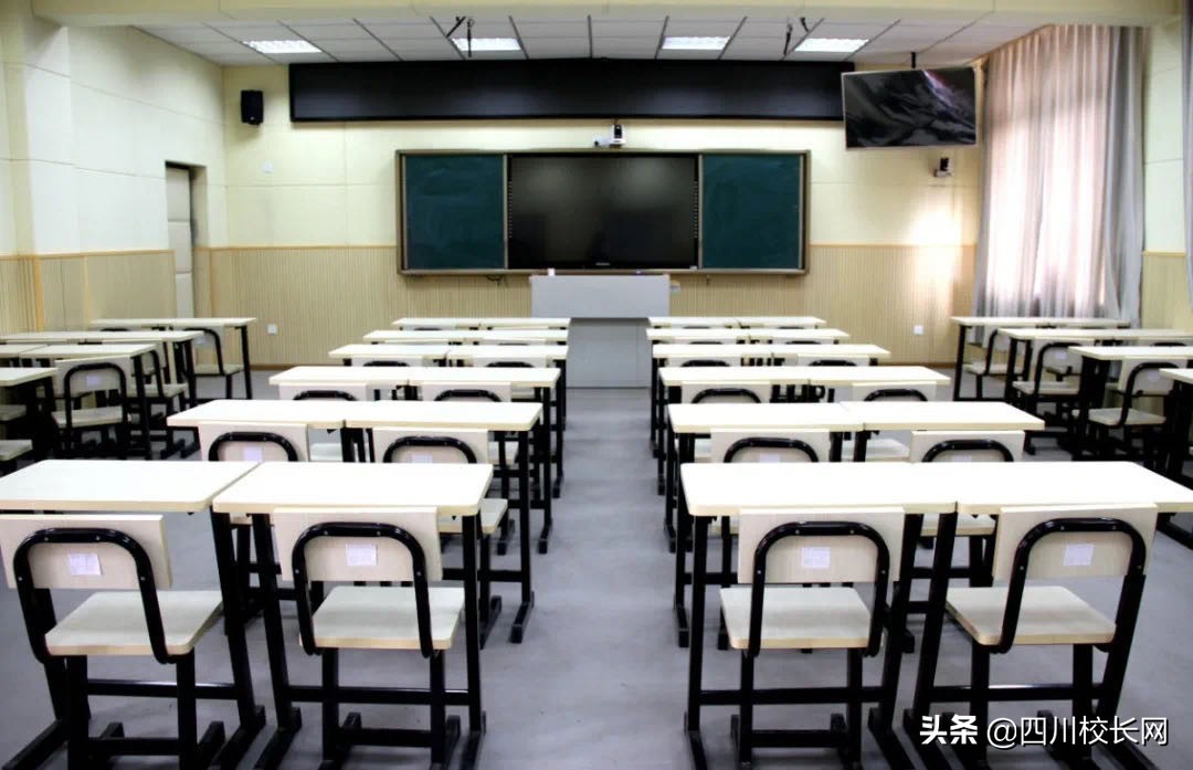 成都市洪河中学,成都市龙泉驿区洪河青苗学校情况