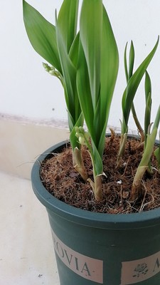 幸福来临清风细雨,幸福到来歌曲完整版