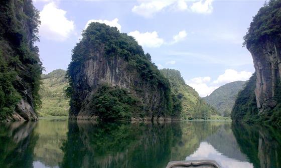 黄山的金凤凰,山沟里的金凤凰湖北