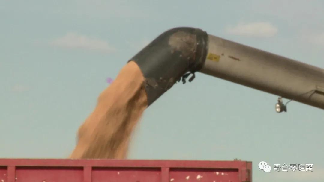 最新型无人驾驶多功能联合收割机,收草联合收割机最新型