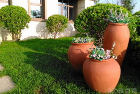 南戴河端午旅游攻略,端午出行海边攻略