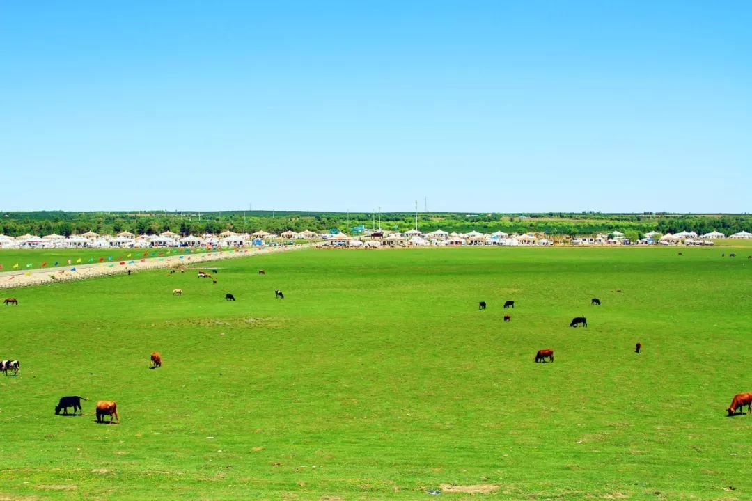 呼伦贝尔大草原醉人的草原,内蒙古呼伦贝尔大草原在哪个位置
