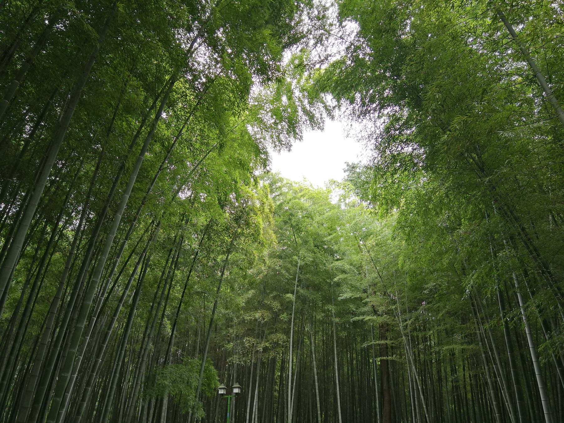 青芝坞民宿离西湖有多远,杭州青芝坞民宿排名榜