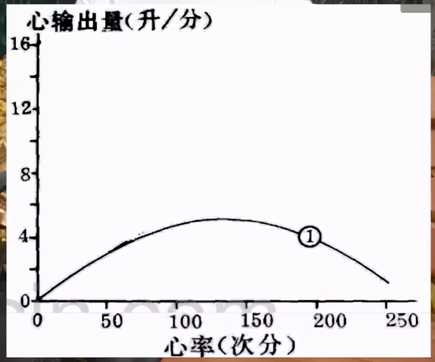 怎么跑心率才会降下来,怎样跑才能降心率
