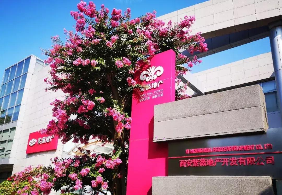 西北大社群，解码“紫薇之家”美好生活