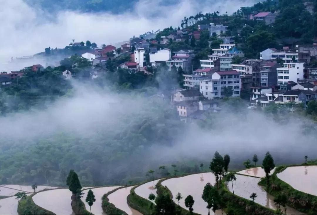 中国山水画摇篮,楠溪江为什么叫山水画摇篮