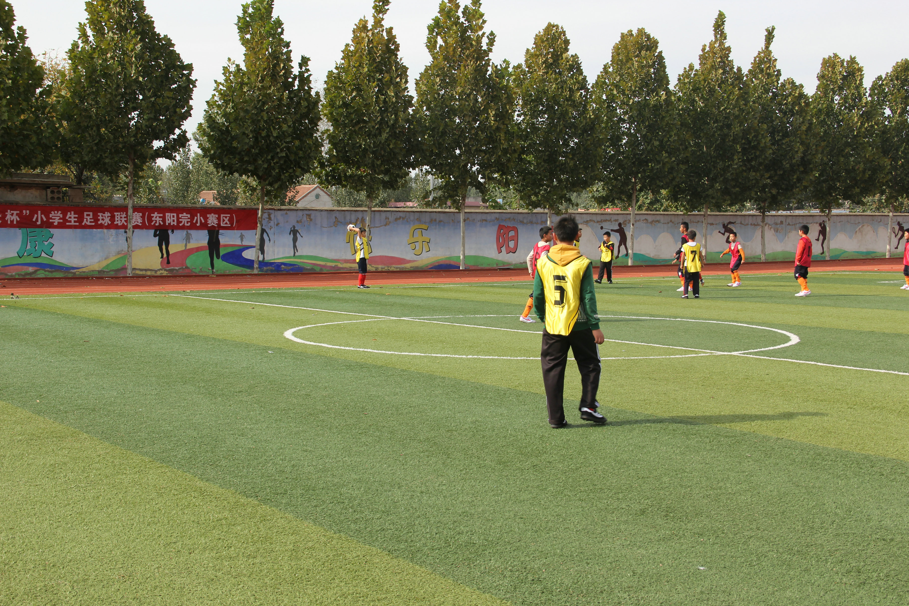 驰骋绿茵场足球争霸,驰骋绿茵场少年梦飞扬