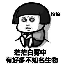 双语Bilingual:无人机Drone=毫无生机Death？