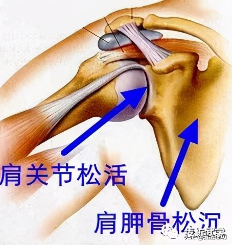 松腰松胯练法视频,松肩松胯训练方法