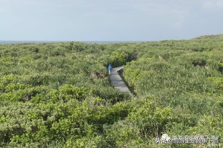 台湾自由行10：台东看海，小野柳、三仙台、比西里岸部落